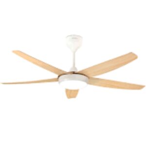 Designer Ceiling Fan