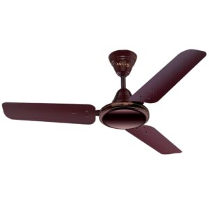 Ceiling Fan (Energy Efficient)