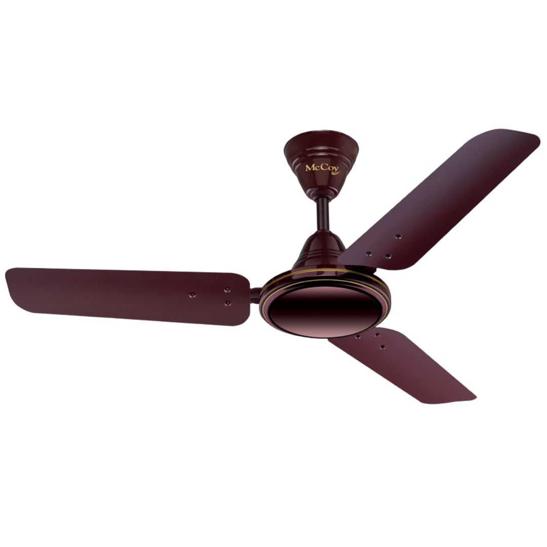 Ceiling Fan (Energy Efficient)